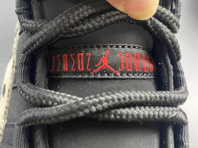 Reps TBK INSTINCT 11 AIR ANIMAL AR0715-010 JORDAN 0812